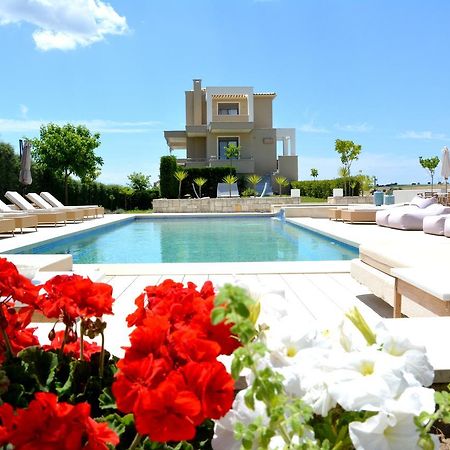 Niovi Boutique Apartments Afytos Eksteriør bilde