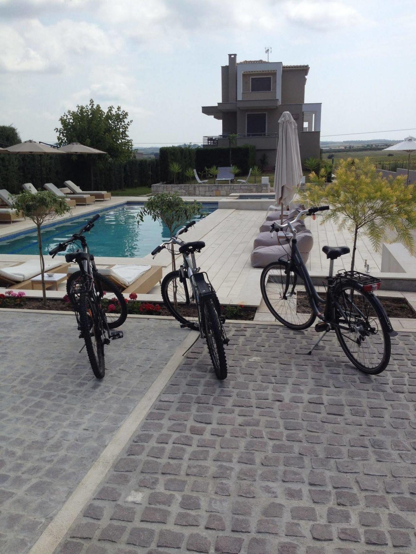 Niovi Boutique Apartments Afytos Eksteriør bilde